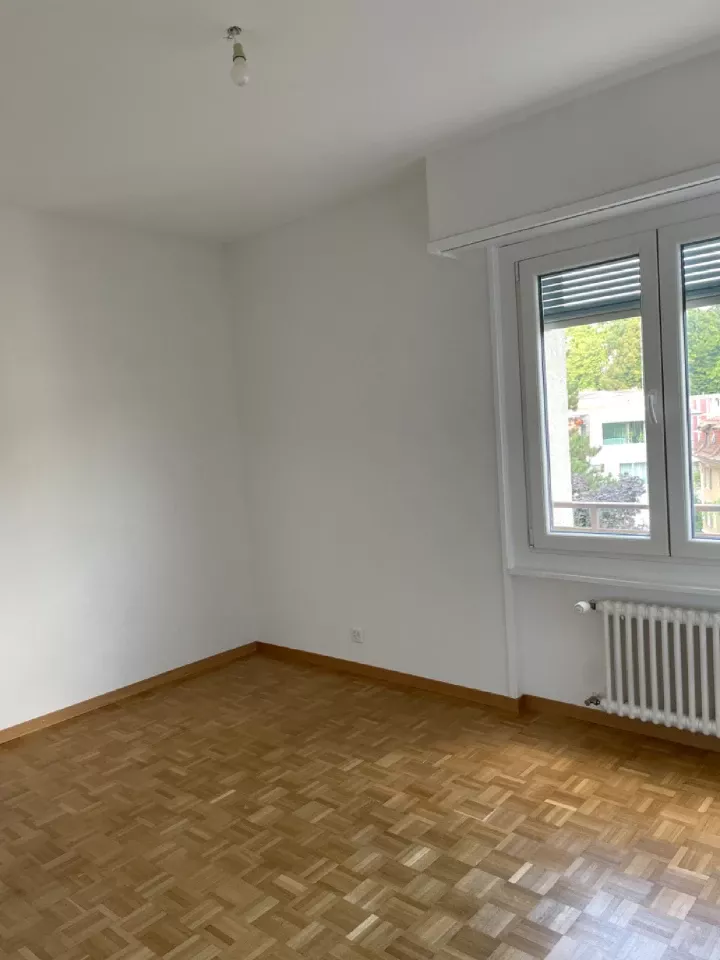 renovation appartement